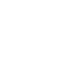 ROI Icon